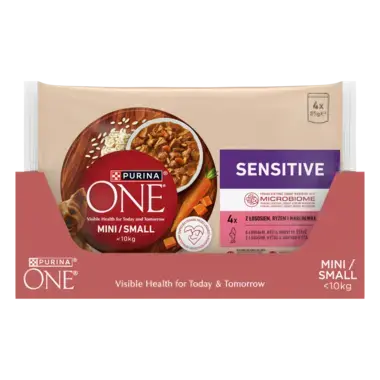 Purina ONE® Mini <10 kg Sensitive z Łososiem