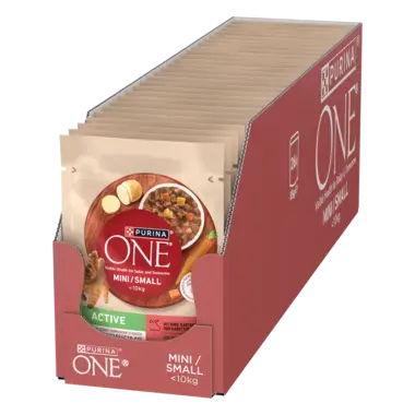 Purina ONE® Mini <10 kg Active z Wołowiną