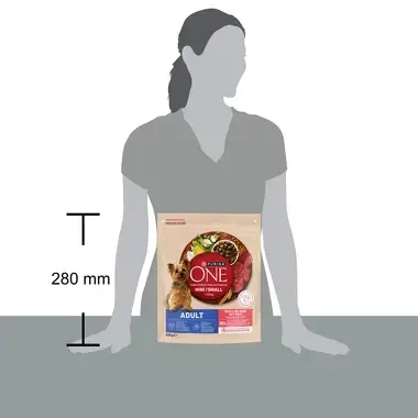 Purina ONE® Mini <10 kg Adult, Bogata w Wołowinę