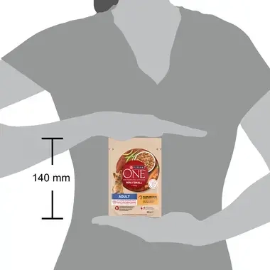 Purina ONE® Mini <10kg Adult z Kurczakiem 85g