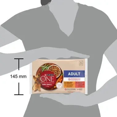 Purina ONE® Mini <10 kg Adult z Kurczakiem oraz Wołowiną