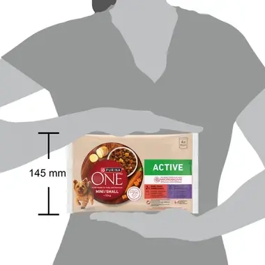 Purina ONE® Mini <10 kg Active z Wołowiną oraz Kaczką