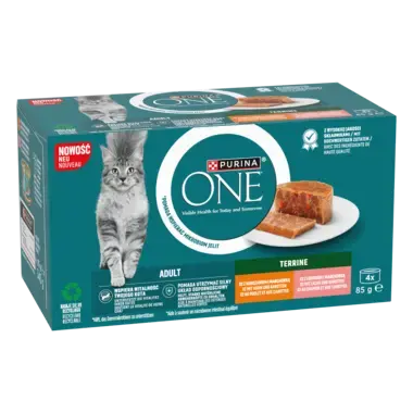 Purina® ONE® Adult, Z Kurczakiem i Marchewką oraz z Łososiem i Marchewką