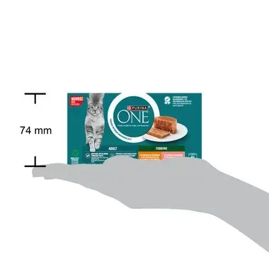 Purina® ONE® Adult, Z Kurczakiem i Marchewką oraz z Łososiem i Marchewką