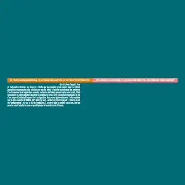 Purina® ONE® Adult, Z Kurczakiem i Marchewką oraz z Łososiem i Marchewką