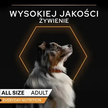 PRO PLAN Wet Adult – karma z indykiem dla psów wszystkich ras