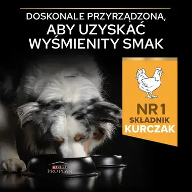 PRO PLAN® EVERYDAY NUTRITION, Karma sucha dla dorosłych psów rasy średniej, Bogata w Kurczaka