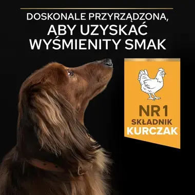 PRO PLAN® EVERYDAY NUTRITION, Karma sucha dla dorosłych psów ras małych i miniaturowych CODZIENNE ŻYWIENIE, Bogata w Kurczaka