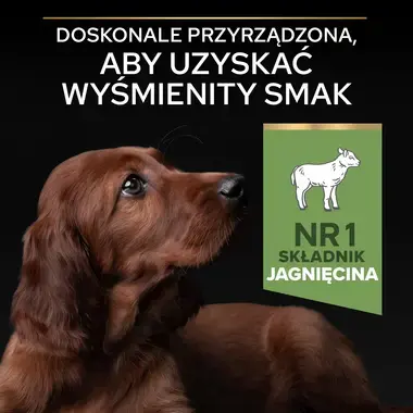 PRO PLAN® SENSITIVE DIGESTION, Karma sucha dla szczeniąt ras dużych atletycznych i z wrażliwym układem pokarmowym, Bogata w J