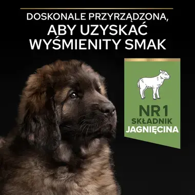 PRO PLAN® SENSITIVE DIGESTION, Karma sucha dla szczeniąt ras dużych o masywnej budowie ciała i z wrażliwym układem pokarmowym