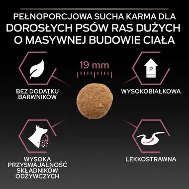 PRO PLAN® SENSITIVE SKIN, Karma sucha dla dorosłych psów ras dużych o wrażliwej skórze, Bogata w Łososia