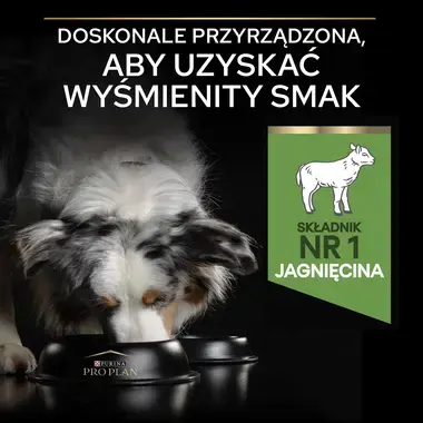 PRO PLAN® LIGHT/STERILISED, Karma sucha dla dorosłych psów z tendencją do nadwagi lub po zabiegu sterylizacji, Bogata w Jagni