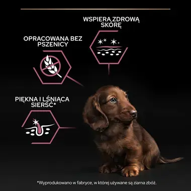 PRO PLAN® SENSITIVE SKIN, Karma sucha dla szczeniąt psów ras małych i miniaturowych o wrażliwej skórze, Bogata w Łososia