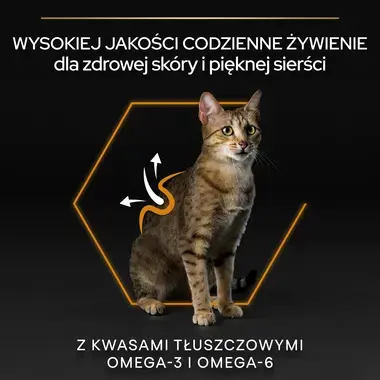 PRO PLAN® Adult DERMA CARE, Karma sucha dla kotów dorosłych o wrażliwej skórze, Bogata w Łososia