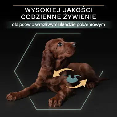 PRO PLAN® SENSITIVE DIGESTION, Karma sucha dla szczeniąt ras dużych atletycznych i z wrażliwym układem pokarmowym, Bogata w J