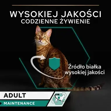 PRO PLAN® Adult MAINTENANCE, Karma mokra dla kotów dorosłych, Wilgotny pasztet z Kurczakiem