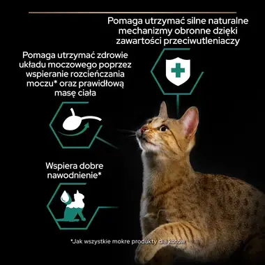 PRO PLAN® Sterilised Adult MAINTENANCE, Karma mokra dla kotów sterylizowanych, Wilgotny pasztet z Rybą Oceaniczną w Galaretce