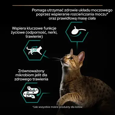 PRO PLAN® 7+ Sterilised Senior MAINTENANCE, Karma mokra dla dorosłych wysterylizowanych kotów, Delikatne kawałki z Indykiem w