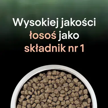 PRO PLAN® LIVECLEAR® Sterilised Adult – sucha karma dla kotów, bogata w Łososia