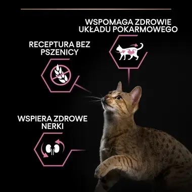 PRO PLAN® Adult DELICATE DIGESTION, Karma sucha dla kotów dorosłych z wrażliwym układem pokarmowym, Bogata w Jagnięcinę