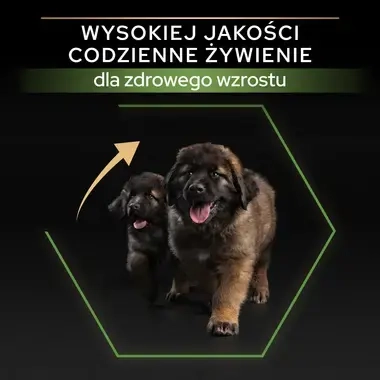 Pro Plan Puppy Large Robust Healthy Start – karma z kurczakiem