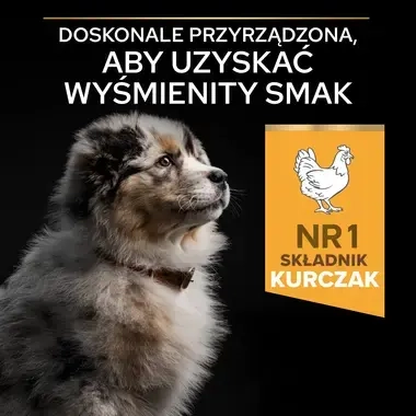 PRO PLAN® HEALTHY START, Karma sucha dla szczeniąt ras średnich ZDROWY START, Bogata w Kurczaka