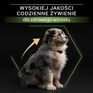 PRO PLAN® HEALTHY START, Karma sucha dla szczeniąt ras średnich ZDROWY START, Bogata w Kurczaka