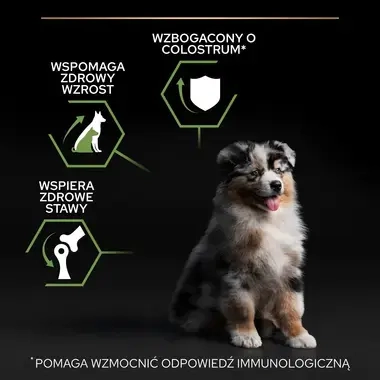 PRO PLAN® HEALTHY START, Karma sucha dla szczeniąt ras średnich ZDROWY START, Bogata w Kurczaka