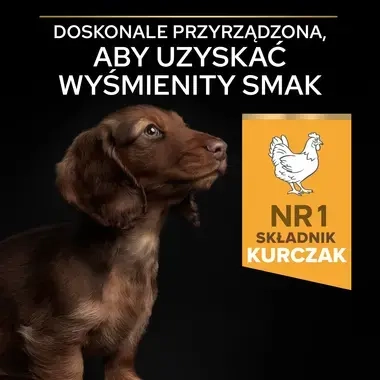 Pro Plan Healthy Start Small Mini Puppy karma dla szczeniąt małych ras