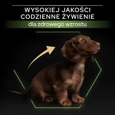 Pro Plan Healthy Start Small Mini Puppy karma dla szczeniąt małych ras