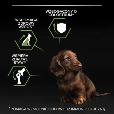 Pro Plan Healthy Start Small Mini Puppy karma dla szczeniąt małych ras