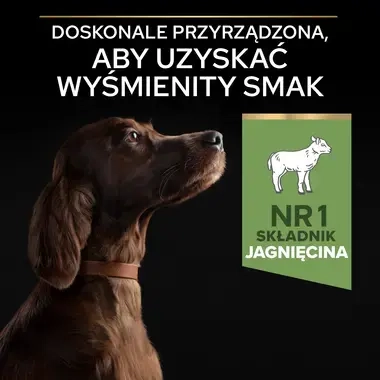 PRO PLAN® SENSITIVE DIGESTION Karma sucha dla dorosłych psów ras dużych atletycznych z wrażliwym układem pokarmowym, Bogata w