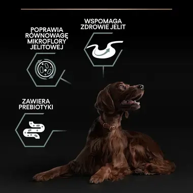 PRO PLAN® SENSITIVE DIGESTION Karma sucha dla dorosłych psów ras dużych atletycznych z wrażliwym układem pokarmowym, Bogata w