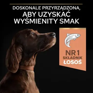 PRO PLAN® SENSITIVE SKIN, Karma sucha dla dorosłych psów ras dużych atletycznych o wrażliwej skórze, Bogata w Łososia