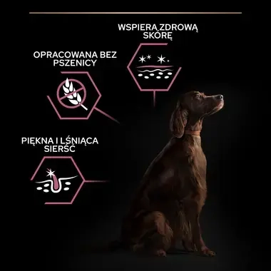 PRO PLAN® SENSITIVE SKIN, Karma sucha dla dorosłych psów ras dużych atletycznych o wrażliwej skórze, Bogata w Łososia