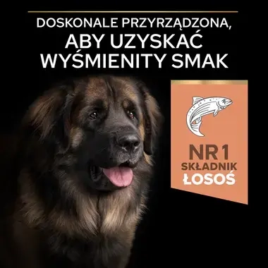 PRO PLAN® SENSITIVE SKIN, Karma sucha dla dorosłych psów ras dużych o wrażliwej skórze, Bogata w Łososia