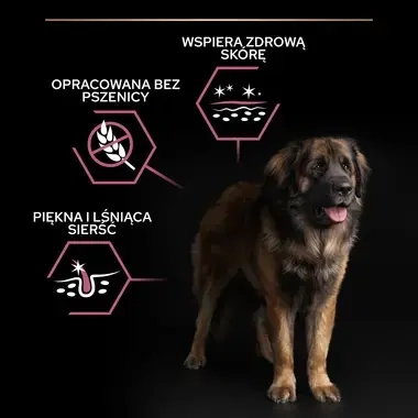 PRO PLAN® SENSITIVE SKIN, Karma sucha dla dorosłych psów ras dużych o wrażliwej skórze, Bogata w Łososia