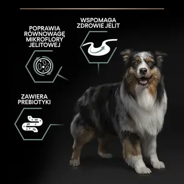 PRO PLAN® SENSITIVE DIGESTION, Karma sucha dla dorosłych psów rasy średniej z wrażliwym układem pokarmowym, Bogata w Jagnięci