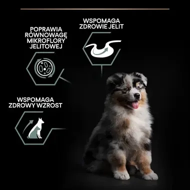 PRO PLAN® SENSITIVE DIGESTION, Karma sucha dla szczeniąt psów ras średnich z wrażliwym układem pokarmowym, Bogata w Jagnięcin