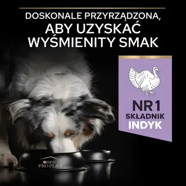 PRO PLAN® SENSITIVE DIGESTION, Karma sucha bezzbożowa dla dorosłych psów ras średnich i dużych z wrażliwym układem pokarmowym