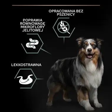 PRO PLAN® SENSITIVE DIGESTION, Karma sucha bezzbożowa dla dorosłych psów ras średnich i dużych z wrażliwym układem pokarmowym