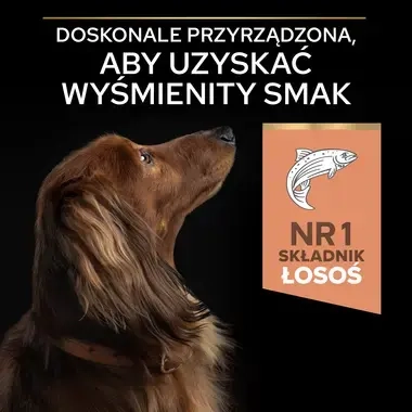 PRO PLAN® SENSITIVE SKIN, Karma sucha dla dorosłych psów ras małych i miniaturowych o wrażliwej skórze, Bogata w Łososia