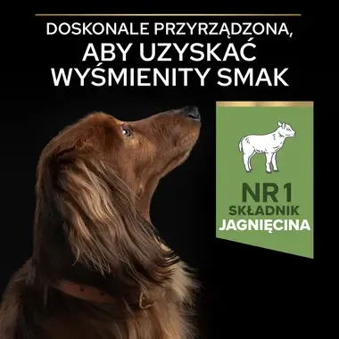 PRO PLAN® SENSITIVE DIGESTION, Karma sucha dla dorosłych psów ras małych i miniaturowych z wrażliwym układem pokarmowym, Boga