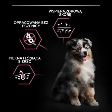 Pro Plan Puppy Medium Sensitive Skin – karma z łososiem dla szczeniąt
