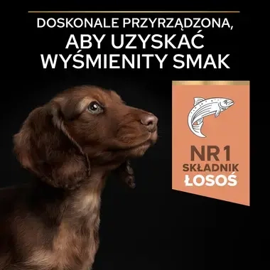 PRO PLAN® SENSITIVE SKIN, Karma sucha dla szczeniąt psów ras małych i miniaturowych o wrażliwej skórze, Bogata w Łososia