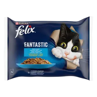 Felix