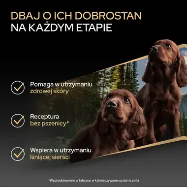 ProPlan
