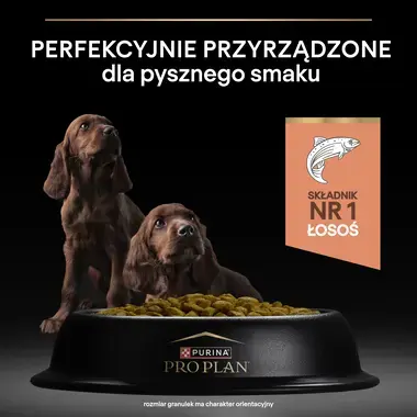 ProPlan