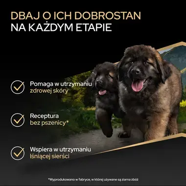 ProPlan