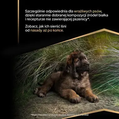 ProPlan